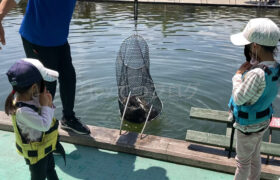 【お気軽魚釣り】有松フィッシュガーデン（愛知県）