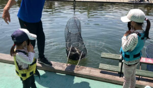 【お気軽魚釣り】有松フィッシュガーデン（愛知県）