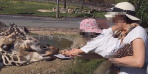 【おでかけ】アドベンチャーワールド（和歌山県）-サファリ～海獣館～利用宿紹介～近場の観光名所‐