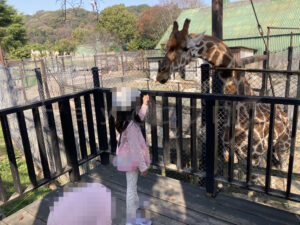 【おでかけ】姫路セントラルパーク エサやり特集とチャイルズファーム編