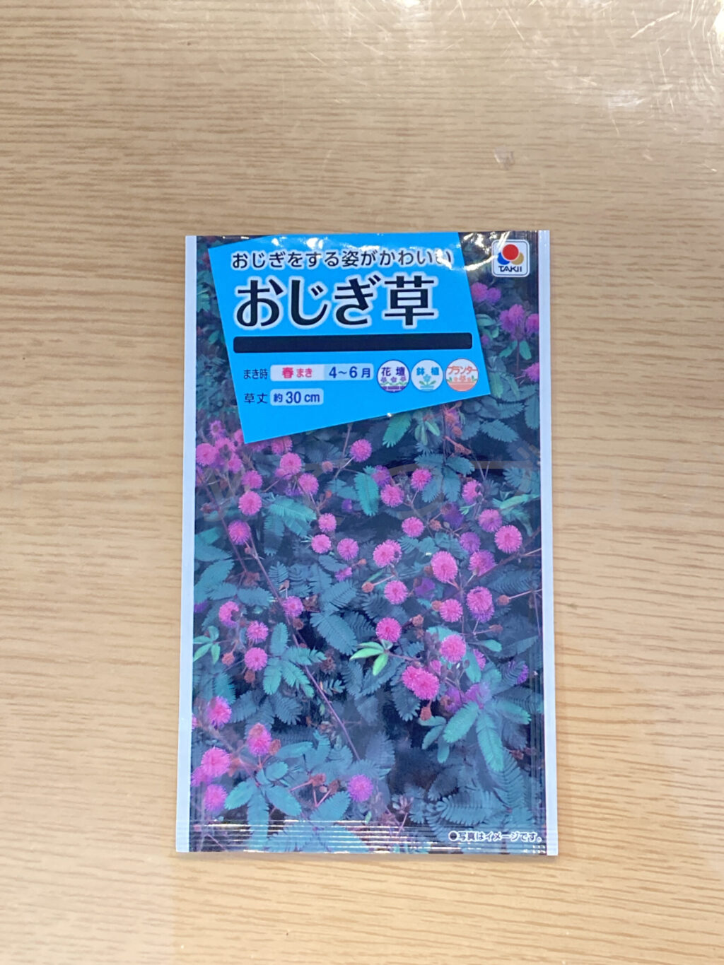 おじぎ草パッケージ表面