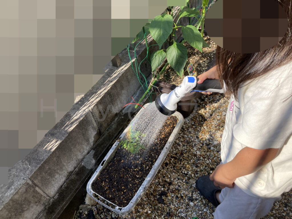 菜園に水やりしている下の子