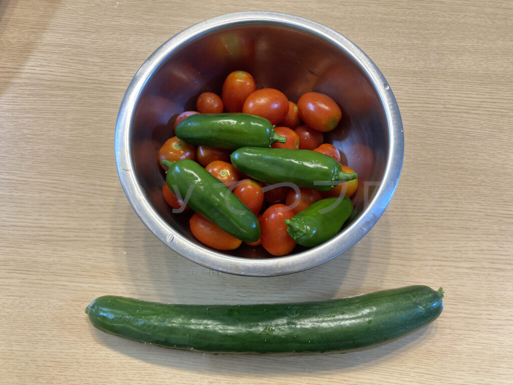 ７月第３週 今週の収穫