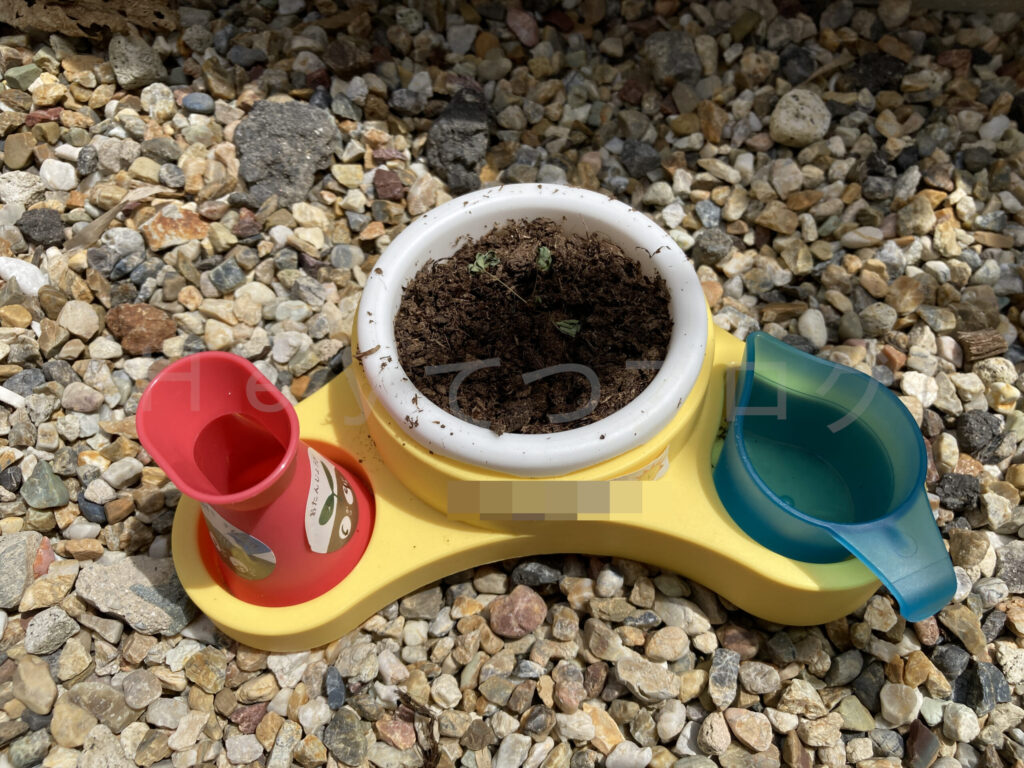 教材ミニプランター７月３週週始