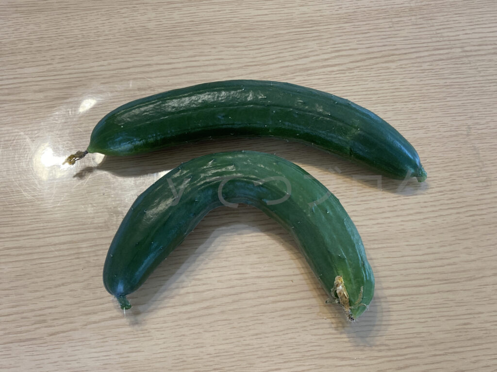 ７月第４週 今週の収穫０１