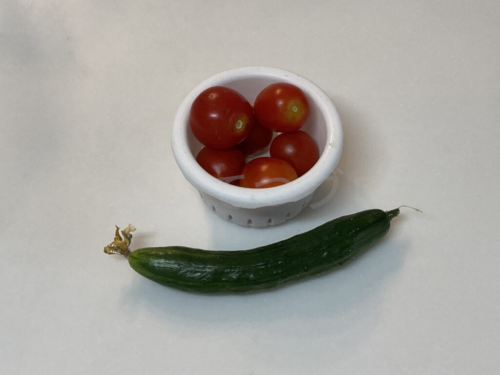 ８月第４週の収穫です。 ミニトマト、きゅうり１本と最後の収穫となりました。