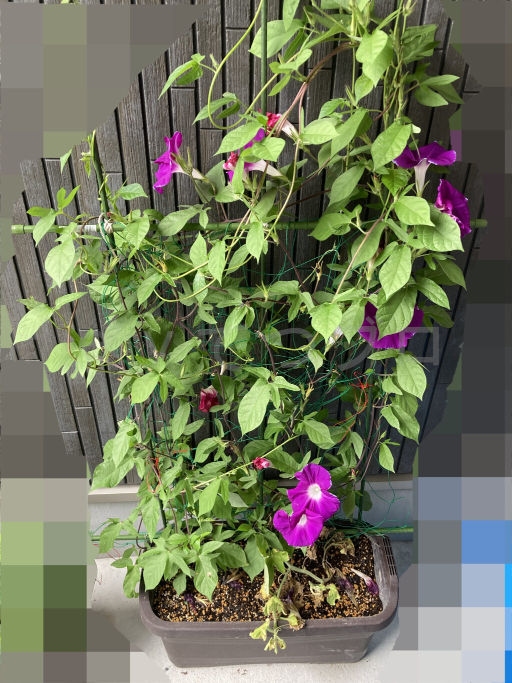 9月第1週 台風のため退避