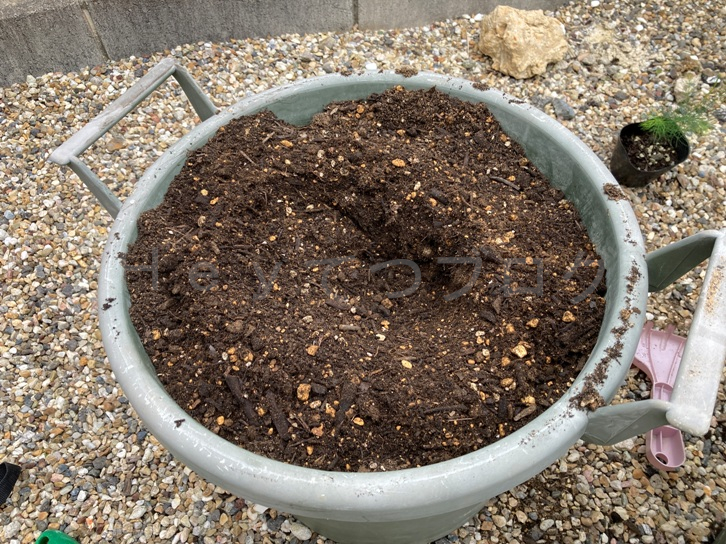 2025年5月第2週レポート_土作り完成