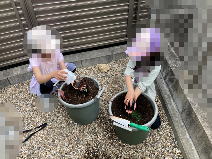 2025年5月第２週レポート_苗を植えるところ