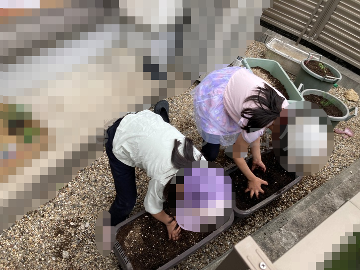 2025年5月第2週レポート_ピーマンとミニトマト、しそ用のプランターで土作り