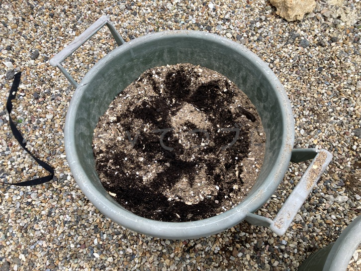 2025年5月第2週レポート_プランターに土を作る07