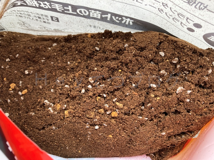 5月第3週_追加培養土02