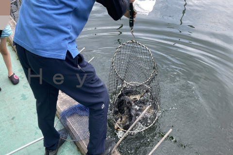 上の子の釣果は8kg