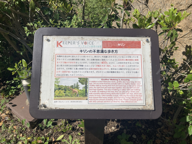 各動物の展示箇所にある説明看板