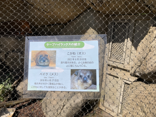 この紹介パネルからしてベイクちゃんかな?