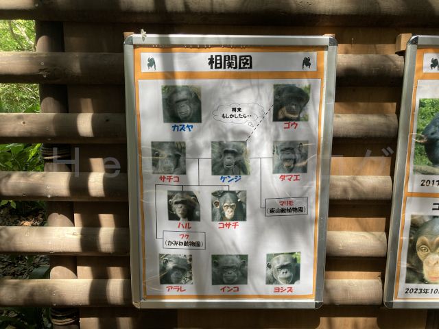 相関図まで掲示されていました。