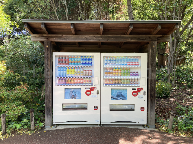 自販機もあるので、道中のどが渇いた時には便利です。