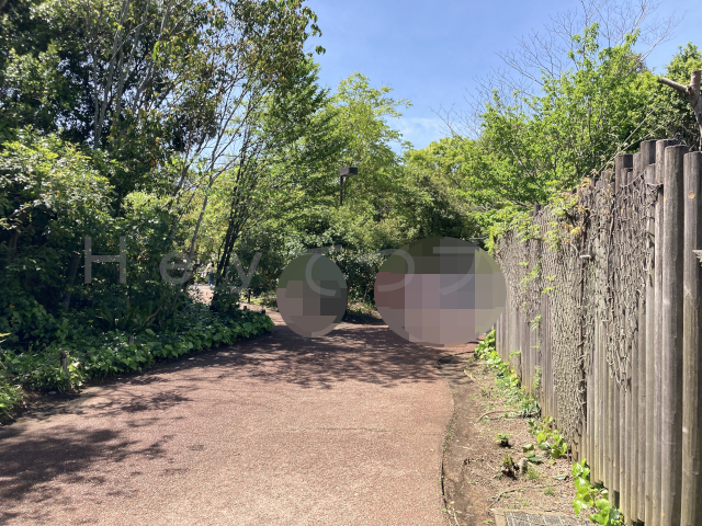 余裕のある道幅
