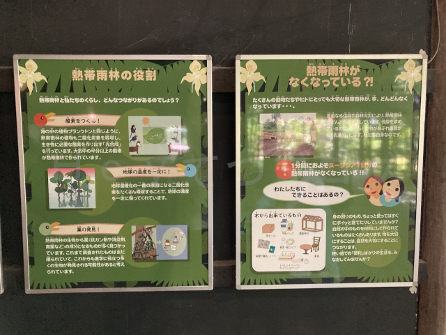ズーラシアが取り組んでいる活動内容