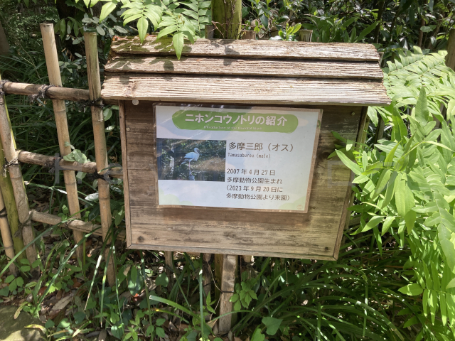ニホンコウノトリの説明パネル