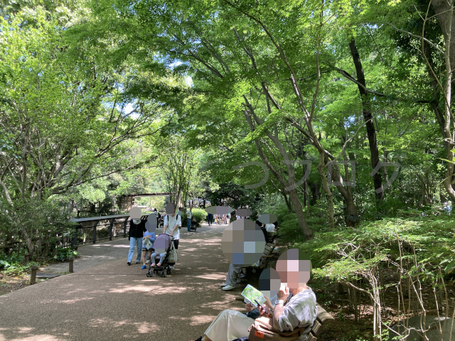 道中には緑に囲まれている涼しいところもあります