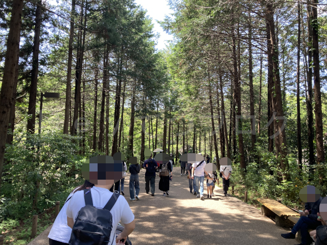日本の山里エリアはこのような自然豊かなつくりをしている