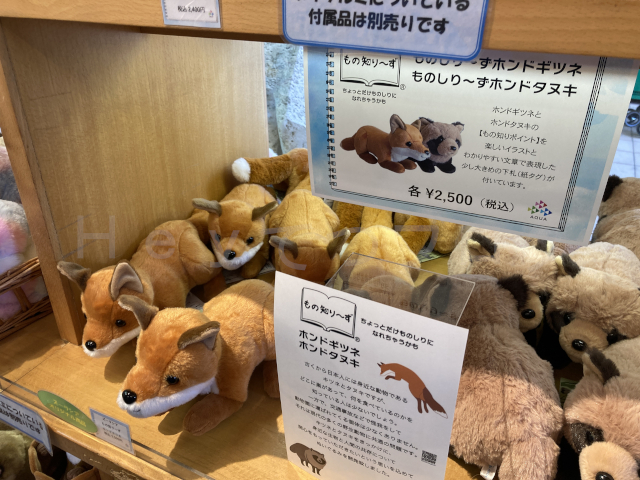 見れなかったホンドキツネのぬいぐるみ