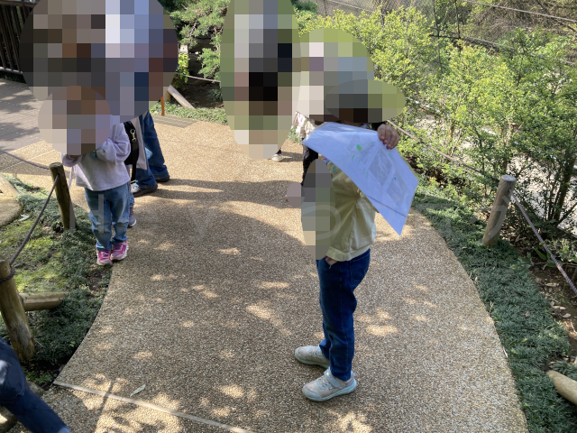 子供が鳥の羽ばたきを真似ていました(笑)