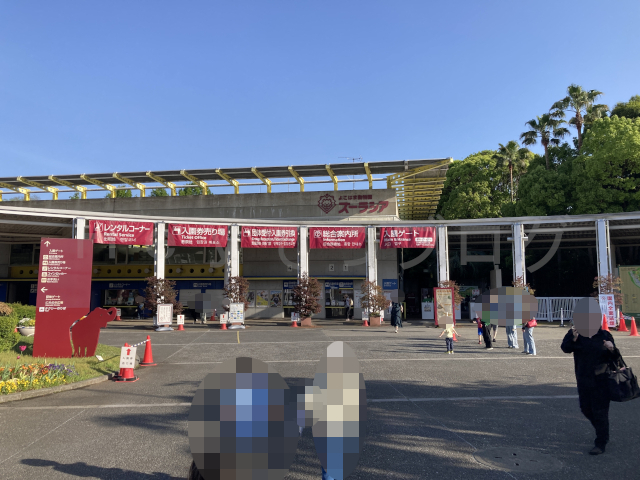 夕方の正門です