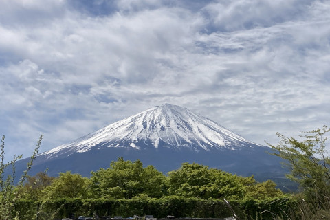 富士山麓_鳴沢氷穴-富士山