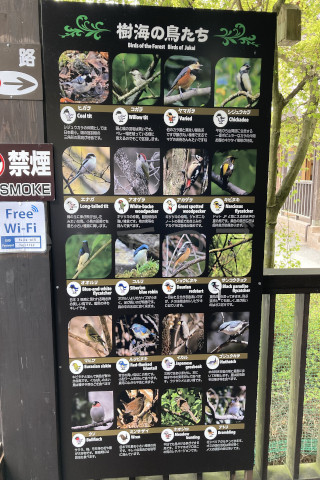 富士山麓__鳴沢氷穴-説明パネル5