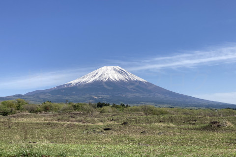 富士山麓_朝霧高原-富士山