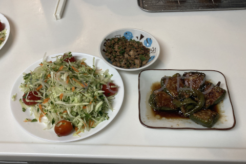 2025年7月第2週_男飯風、サラダ、ミンチと刻みピーマン、肉詰めピーマン