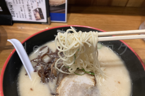 【麺達】とんこつラーメンは濃厚なのに臭みの無いスッキリスープ