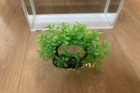 【金魚日和】追加で水草オブジェを購入