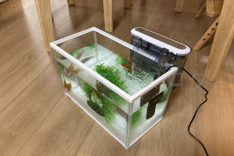 【金魚日和】金魚飼育準備完了