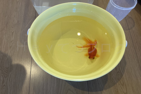 狭い陽気なので、限られた時間で掃除が必要