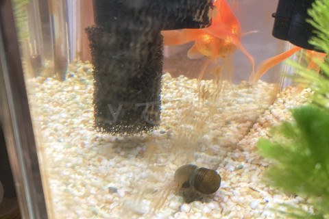 こんなに綺麗になりました