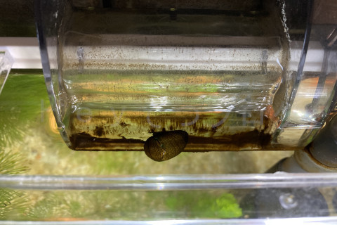 どんどん食べてくれます