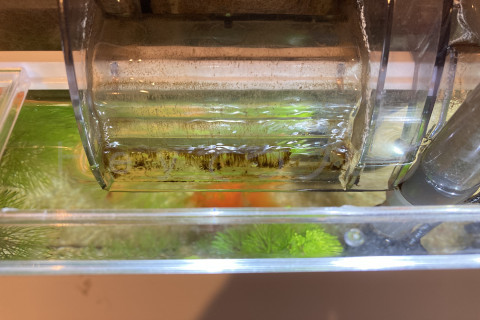 こんなに綺麗になりました。