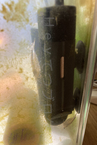 暖かいヒーターの近くで過ごすことが増えました。