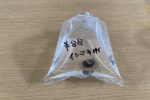 お掃除スタッフ増員です