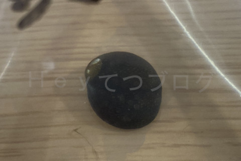 苔とり作業よろしくお願いします。