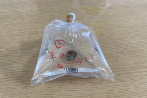 ヒメタニシです