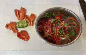 【家庭菜園】お手軽野菜で家庭菜園2025年9月第3週