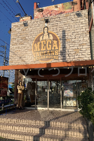 メガインディアンズ緑白土店の入り口