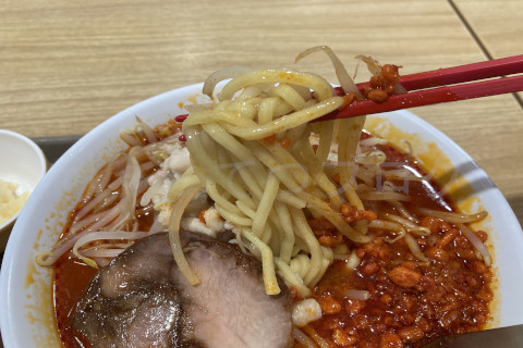 【寿がきや】スガキヤ限定メニュースガジローの極太麺