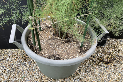 2025年10月第2週_定期的な追肥は大事です