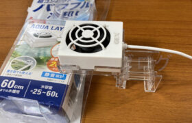 【金魚日和】冷却ファンで夏の水温対策