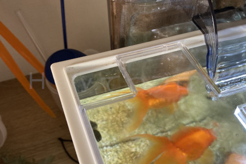 金魚日予知2507b_GEXさんの冷却ファン_取り付け場所